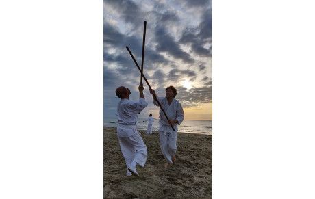 Stage Européen de Bojutsu à Lyon 4 et 5 avril 2020