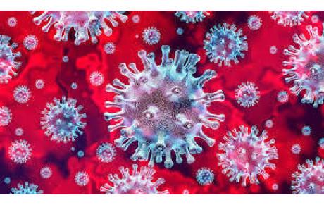 COVID 19 : Attention cours annulés jusqu' à nouvel ordre !