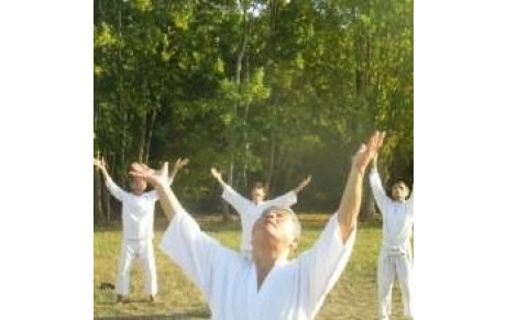 Stage de shintaïdo Kenjutsu dirigé par Ito sensei