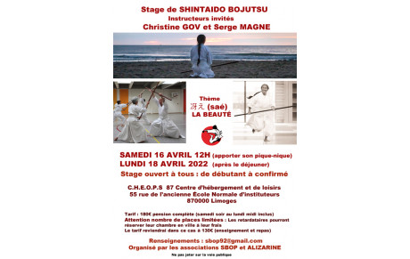 Stage de Bojutsu à Limoges