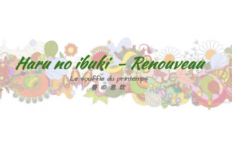  Stage National Shintaïdō France à Poitiers du 26/05 au 29/05/2022