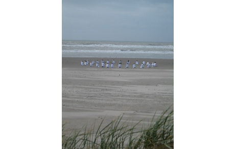 Kangeiko d'Occitanie à la plage des Montilles à Vendres 20 et 21 janvier 2024