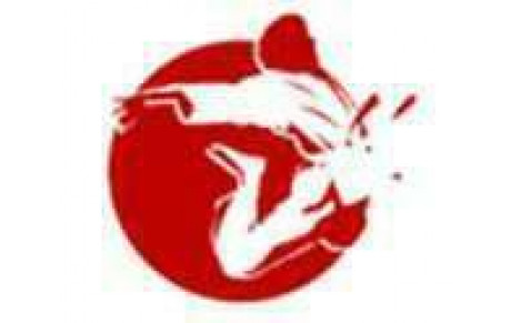 Stage national de Shintaïdo de l'AFIS au CHEOPS de Limoges 