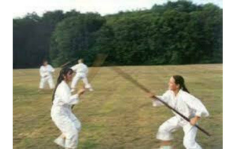 Stage de Bojutsu à Mâcon le week end du 16 et 17 mars 2024 